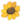 Tournesol